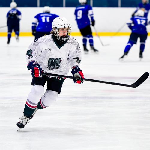 Putinas Bartkevicius