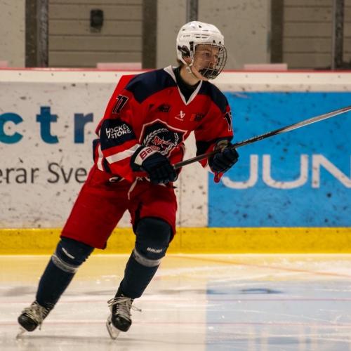 Viggo Svärd Sandelius