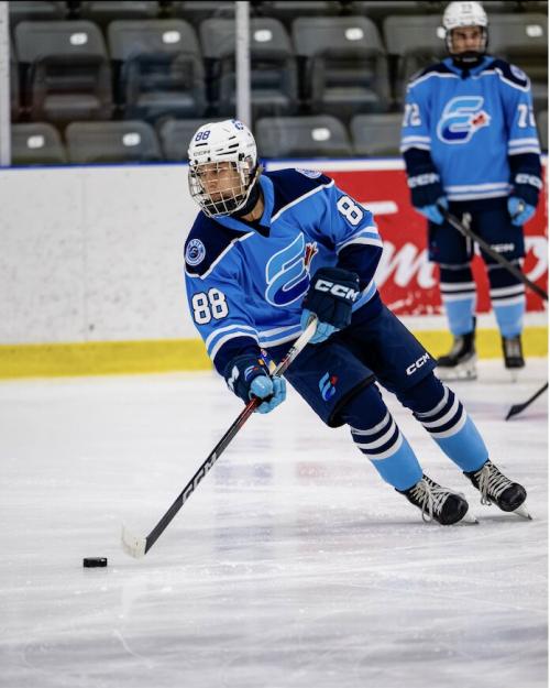 Luca-Andrei Gurdis