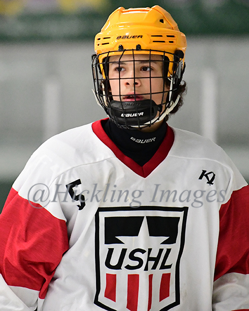 Davis Ross - Elite Prospects