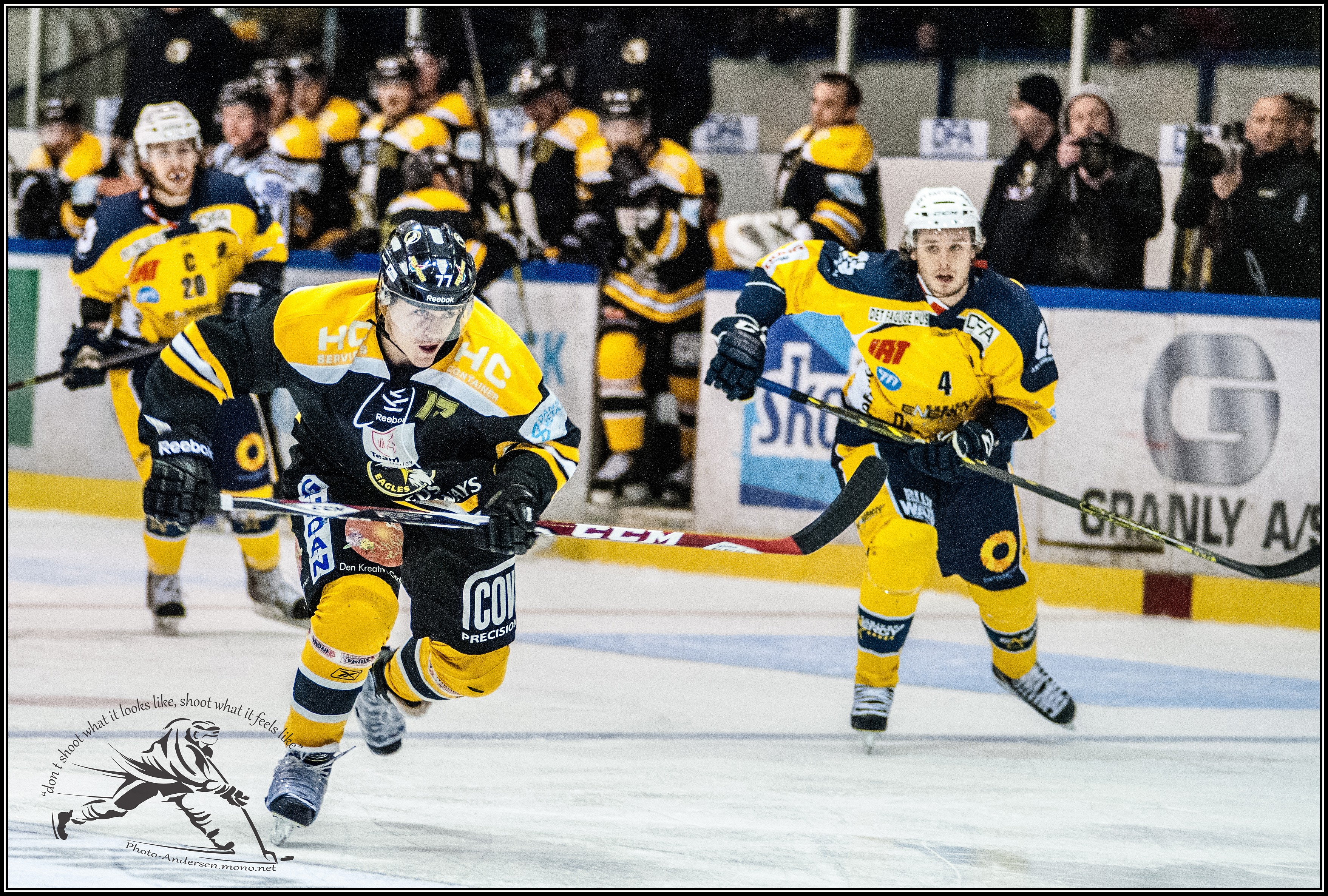 Elite Prospects Dallas Maxwell Photo Gallery