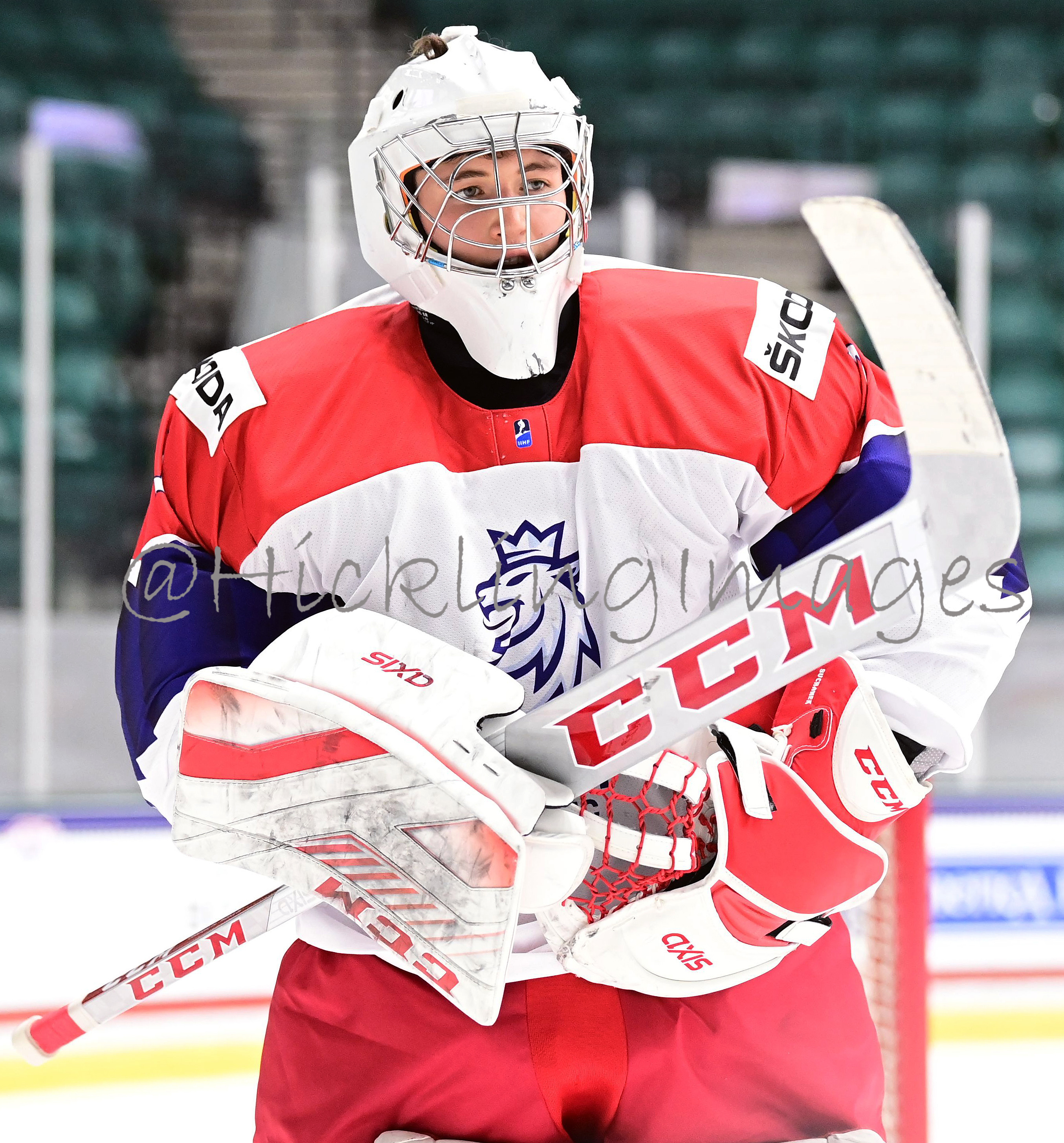 Tomas Suchanek Elite Prospects