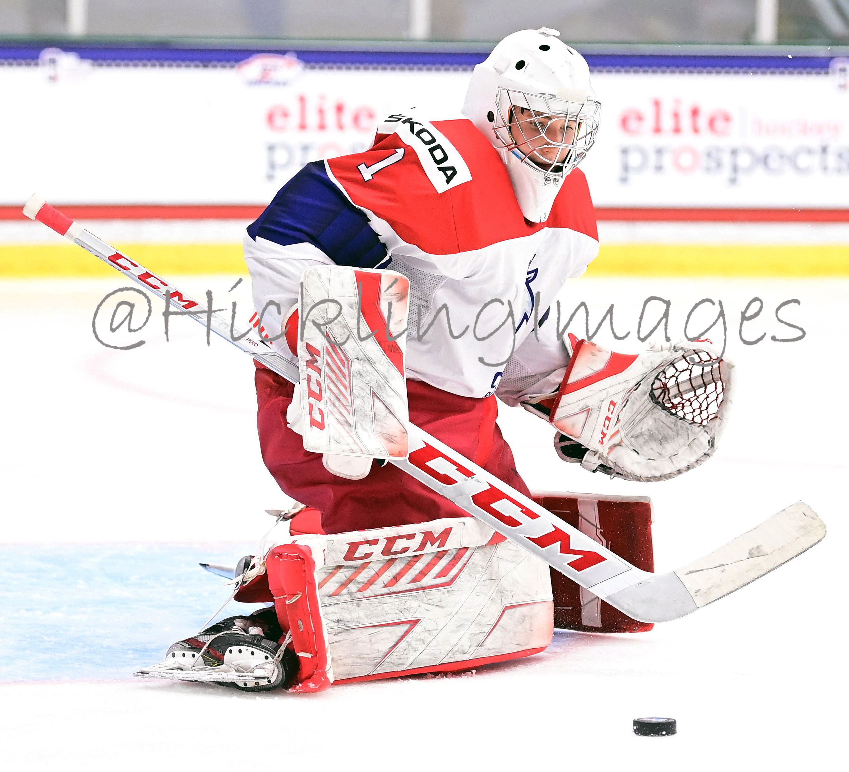 Tomas Suchanek Elite Prospects